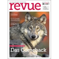 revue Nr. 38 / 2017 revue Nr. 38 / 2017