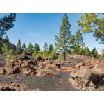 Teneriffa gemütlich erwandern (8 Tage: 19.11. - 26.11.2018)